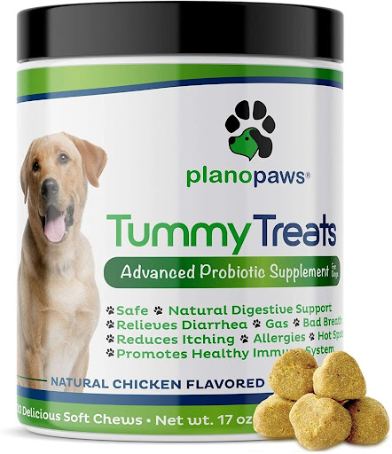 Probiotics for Dogs